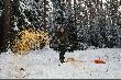 Dzisiaj na le�n� sto��wk� trafi�o 100kg kukurydzy, 50 kg ziemniak�w, no i oko�o 400 kg jab�ek. 