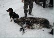  Postrza� na przedni bieg i 3 kilometrowa pogo�. Gdyby nie bia�a stopa i  zamro�one pere�ki farby pewniebym odpu�ci�.