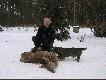 Selekcyjne ciel� �e�skie, po wypatroszeniu 27 kg!By� sam cielak - bez chmary, bez �ani...