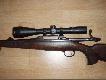 Bushnell Elite 4200 2,5-10x50