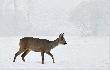 -16 mg�a i troch� zimno.....  :-D