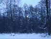  za jaki� czas umieszcz� opis :-)))) opis:[ zazdro�� "koleg�w " bywa nieobliczalna  :-))) ] zazdro�� to 1 z 7 grzech�w g��wnych ,kt�ry grzesz�cemu nie sprawia przyjemno�ci tylko  powoduje u niego cierpienie   :-) DB