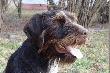 Mia�o by� do paszportu :)