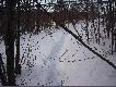 Pewna �mier�. Dobrze, ze zd��yli�my je po�ci�ga�. Wieczorem mog�y by� ju� zaci�gni�te.