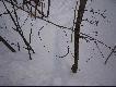 Wnyki wymusi�y na nas zmian� �owiska, w kt�rym mieli�my polowa�, ale ta sprawa jest wa�niejsza ni� polowanie.