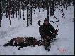 Beskid Ma�y. Byk kolegi 7-8 lat , masa wie�ca ok. 4kg  
waga byka 102kg