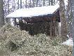 widzia�em ostatnio chmar� 53 jeleni ...s�dze �e 2 tyg. i siana nie b�dzie