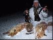 6.02.2010.    -------- 36 -------    37    --------lisek w tym sezonie zwabione na  predatorka,i pisk myszy........