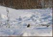 Widok ciesz�cy oko!!!