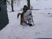Raz jeszcze jedna fotka dla Kolegi " hunter13 "  Darz B�r 