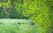 Troch� lata w �rodku zimy :-)  Aby do maja :-)