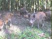Spojrzenie prosto w �renice! :)