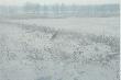 w drodze z pa�nika