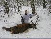 10 minut po strzale kt�ry po�o�y� byka w ogniu - kal.308 win.