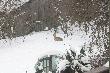 Straszny g��d zwierzynie dokucza w�a�nie mia�em kozio�ka w ogr�dku. D�ugo szuka� lecz znalaz� wyj�cie z opresji.