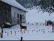 Bieszczady zachodnie pies ogrodzony Fladrami przed wikami