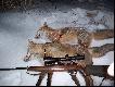Pierwszy od g�ry przyj�� 2 kule- po strzale komorowym usiad� na �niegu ,ale po drugiej w ucho  poleg� (odl.strz.180m  308W),Drugi pad� w ogniu(odl.strz.100m),a trzeci -pud�o....