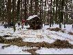 Dokarmianie Zimowe Darz B�r.