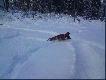 Pokonywanie wysokiego �niegu troszk� go wym�czy�o