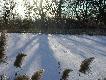 Staw na Terenach Wodono�nych