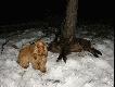 M�j ma�y pomocnik