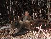 G�ry Hamardaban-wiosna 2007.Mi� i ja