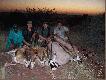 pokot przy zachodzie s�o�ca-Namibia2006