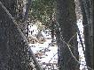 Wygrzewa si� na s�onku :) uda�o si� podej�� na kilkana�cie krok�w.