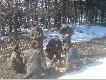 Marucha b�ogos�awi  ,gospodarza' Micha�a :)