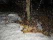 Wracaj�c do samochodu trafi� si� 3(16) strza� na 200m.