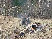 Kocio� wrze!!G�odna �mud� i Litwa powraca do obozu na w�ch