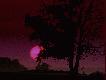 
...wiosna...wiosna... wiosna ach ,�e Ty...