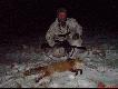 Fair Combi Prestige 20/76 -223 rem 
Scotch Predator Call  i  nr, 15