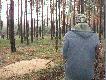 Romek (lajka) na stanowisku.