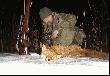 ....a jego imi� pindziesi�t i siedem :-)   brak poprawki na wiatr sprawi� ,�e sp�ni�em strza� i trzeba by�o aplikowa� natychmiast nast�pn� pigu��  trudno jest wypracow� sobie w g�owie nawyk   strzelania  nie w lisa  tylko gdzie�  ko�o niego tak aby kula doleciawszy  trafi�a  go precyzyjnie . 