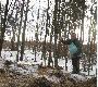 jest kiszonka jest siano jest owies, trza posoli� 