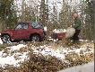 ostatni  w sezonie2009/10 wyw�z karmy do �owiska 