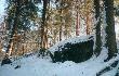 Takich g�az�w jest wi�cej..