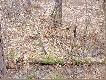 ten te� czeka� rok