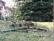 Wiosna na ca�ego-wi�c czas na pi�maki!