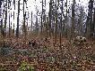 wsp�praca
