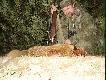 63. the end  na ten sezon  . WESO�YCH �WI�T :-)))))