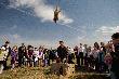 Z tegorocznego "wypustu" ba�ant�w. 