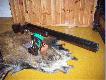 I� Sporting, r�nie ludzie o nich m�wi�, ja p�ki co na niego nie narzekam;) A troch� ju� z niego rzutek str�ci�em.....;)