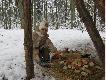 troch� wspomnie�...co roku w dzie� Wigilii odwiedzamy z c�rk� pa�niki 24.XII.08 �ow.Nakomiady