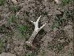 powinienem na niego trafi� troszk� wcze�niej:-)