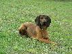 Sko�czy�em 10 miesi�cy. 