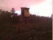 Moja ambona,kt�r� postawi�em przy uprawie sosnowej.