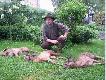 Niesamowity poranek... trzy kozio�ki, a w tym m�j my�kus i wielotykowiec serdecznego przyjaciela, wspania�ego my�liwego Marcina!