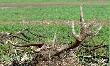 Na ten pag�rek to go po�o�y�em do fotki. 1,8kg na �wie�o